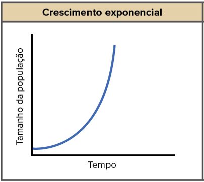 Gráfico de Crescimento Exponencial